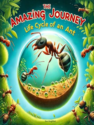cover image of The Amazing Journey